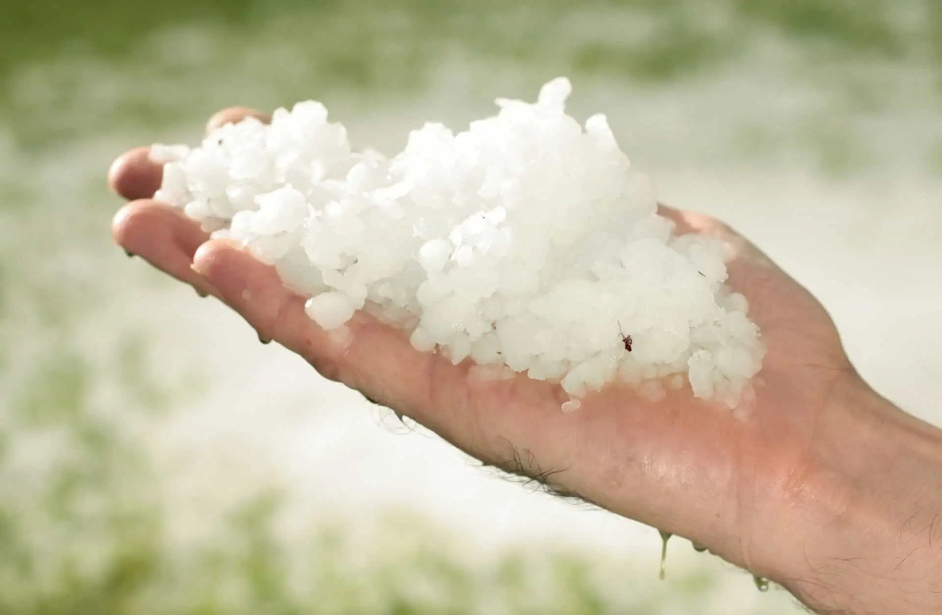 hail_2905-3 - El clima en Argentina: qué es el graupel y por qué podría caer en Buenos Aires
