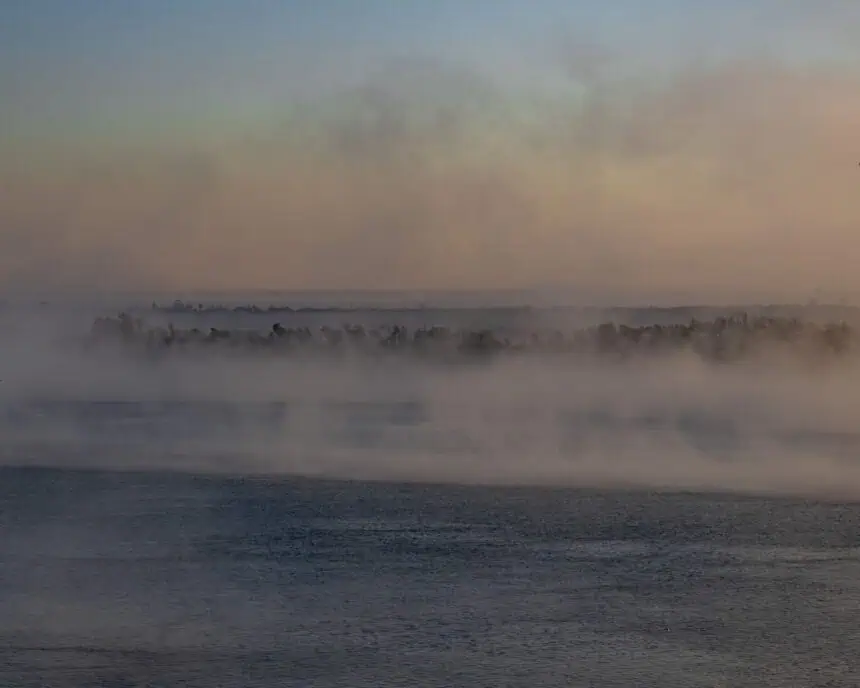 fog-in-argentina-0807-2 - El clima en Argentina: alerta por niebla y vuelos desviados